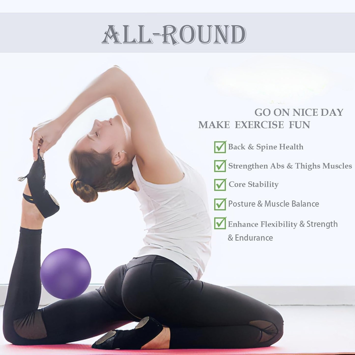 9-Inchpilates ball, small exercise ball,Pilates Mini Exercise Ball ,mini pilates ball for Physical Therapy, Barre, Yoga