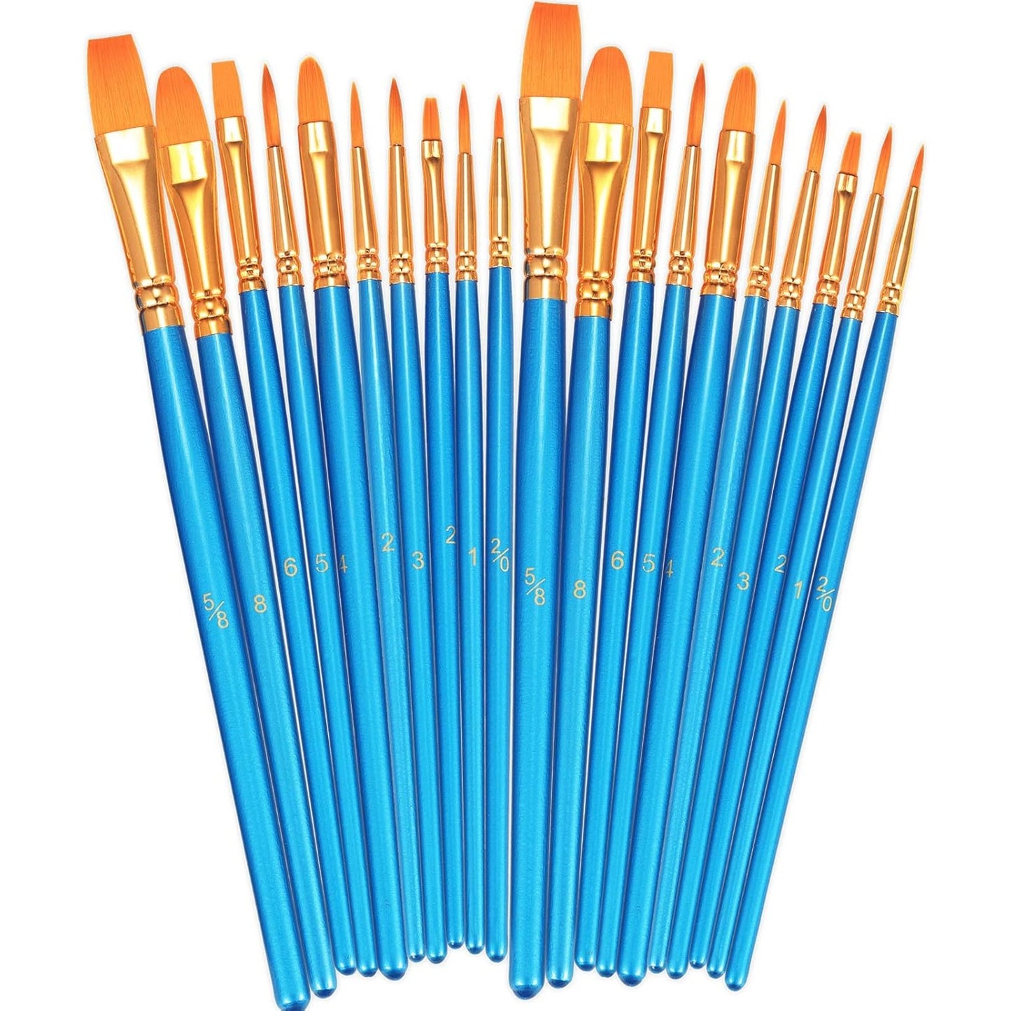 Acrylic Paint Brushes Set, 2 Pack 20 Pcs Round-Pointed Tip Nylon Hair Artist Acrylic Paint Brushes for Acrylic Oil Watercolor