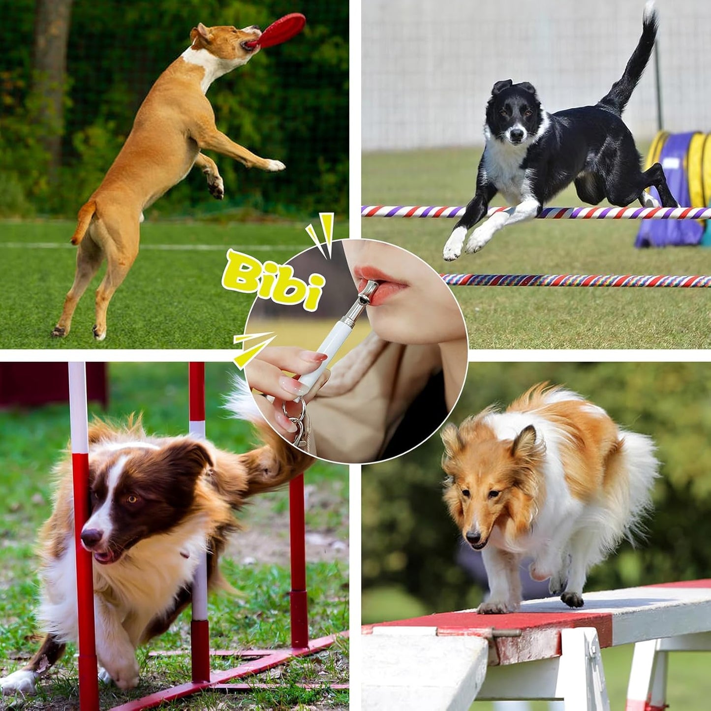 2 Pack Dog Whistle, Adjustable Ultrasonic Silent Dog Whistle, Professional Recall Dog Training Whistles